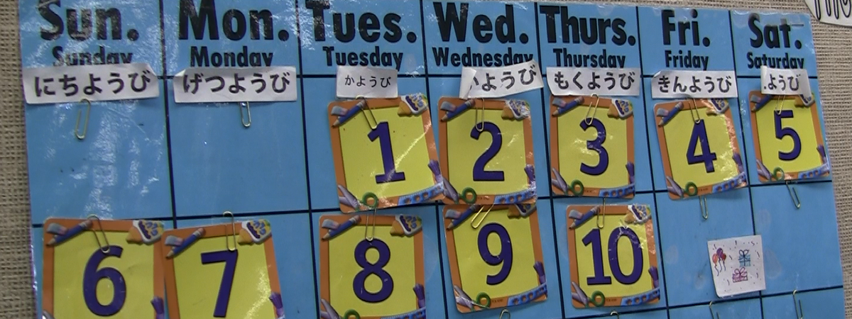 Curriculum Development for Bilingual Education